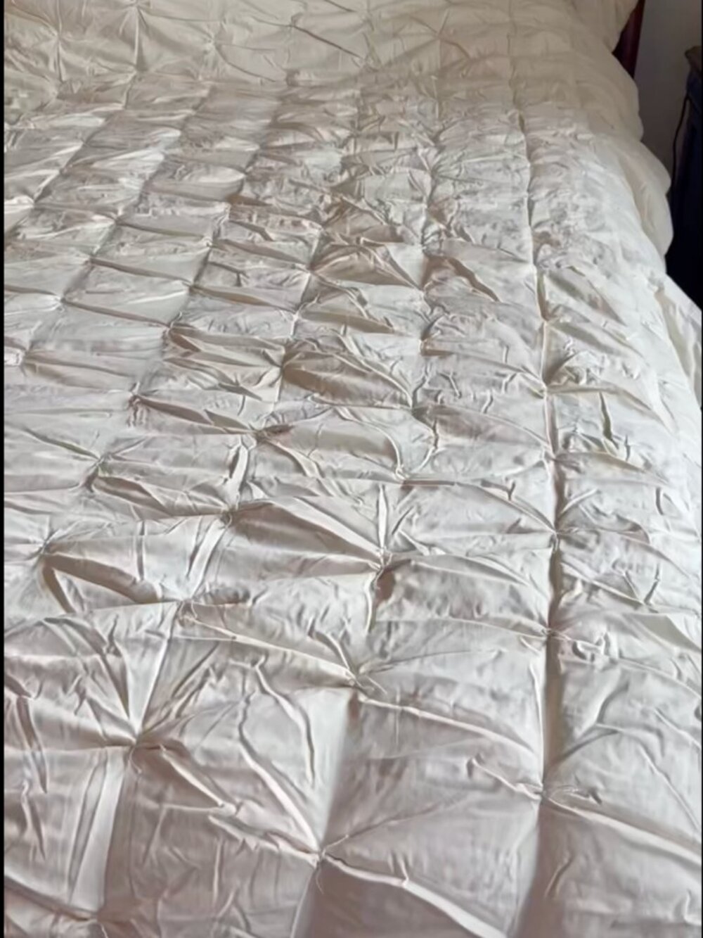 NEW Holy Lamb Organics x Coyuchi King Hand-Tufted Organic Cotton Comforter
